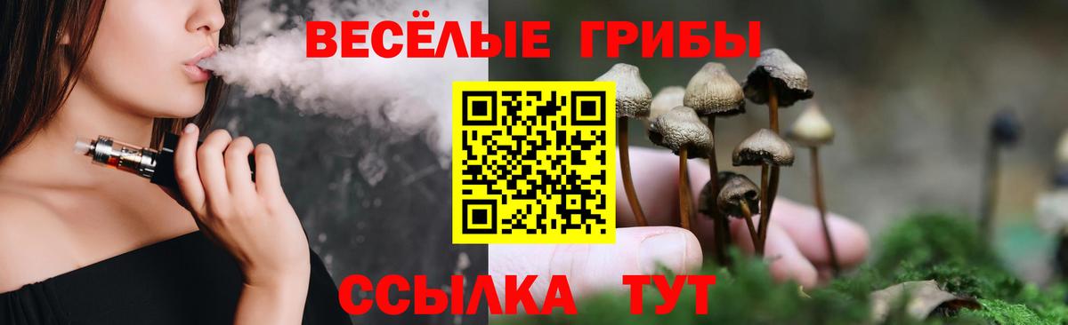 Галлюциногенные грибы Psilocybe Лесной