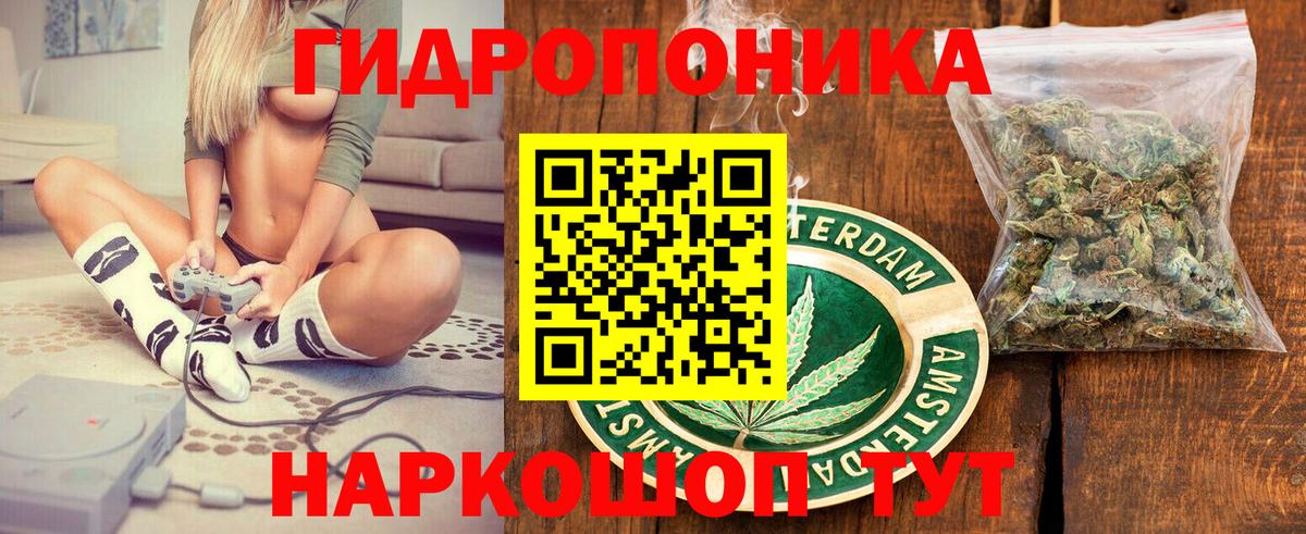 Каннабис гибрид  Конопля план  Лесной  Бошки марихуана MAZAR  Вход с VPN 